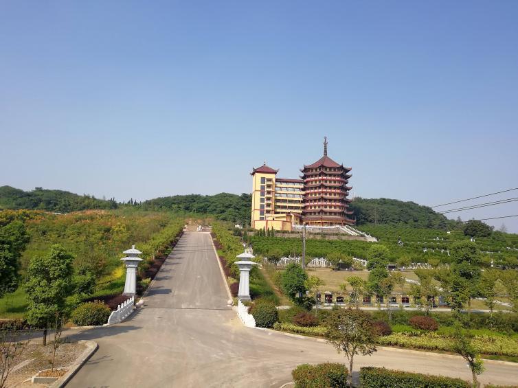 江蘇周末自駕游去哪好玩，5條農(nóng)家樂自駕游路線推薦，人少/景美好去處推薦