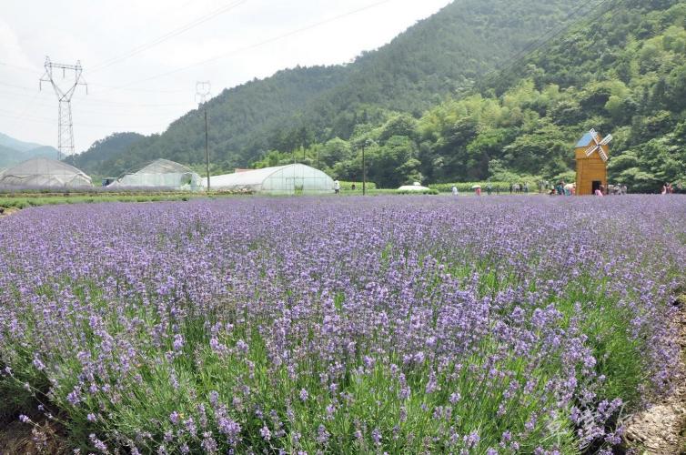 周邊金華周邊1-3日自駕游去哪里好玩，7個金華周邊探訪歷史古跡景美/小眾自駕游線路攻略推薦