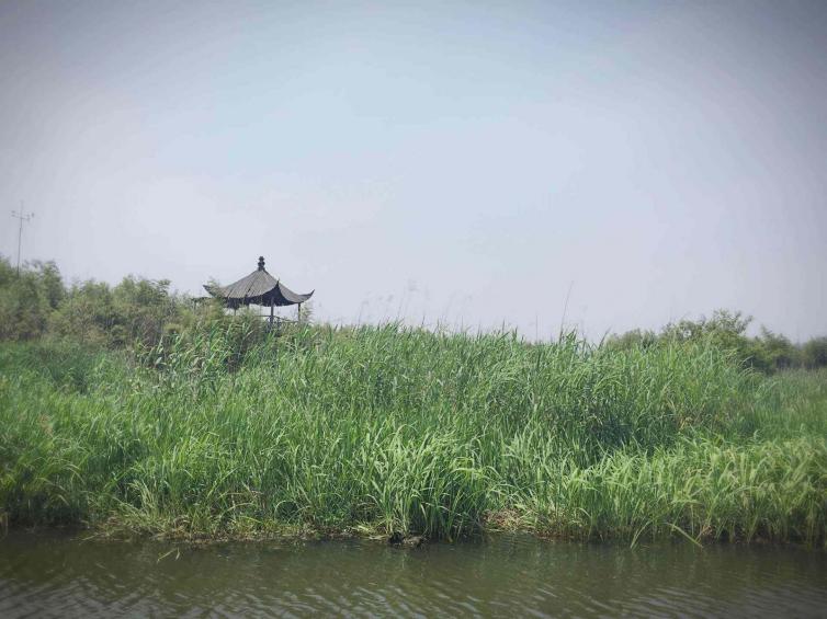 周末湖州自駕游去哪好玩，8個讓你深入自然感受田園氣息自駕游景點線路攻略