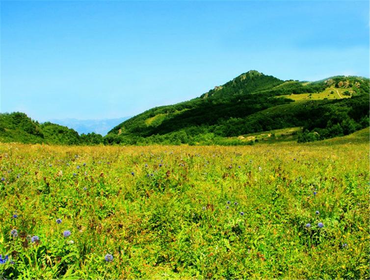 周末自駕一日游去哪玩？北京周邊自駕山路美景攻略