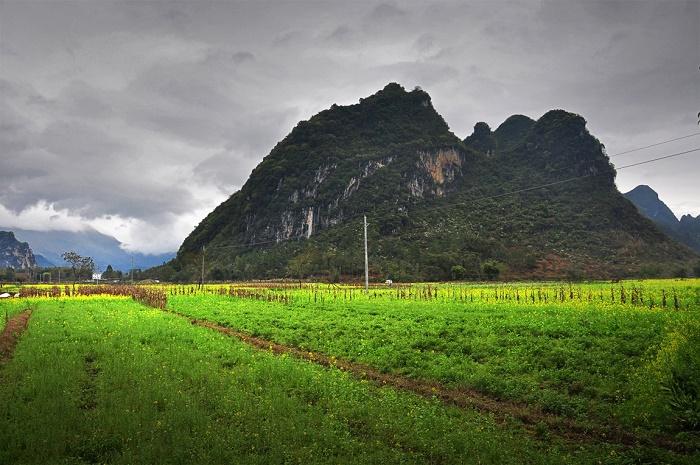 過年來廣東自駕去這幾個(gè)地方準(zhǔn)沒錯(cuò)！人少風(fēng)景又美，一定要去！