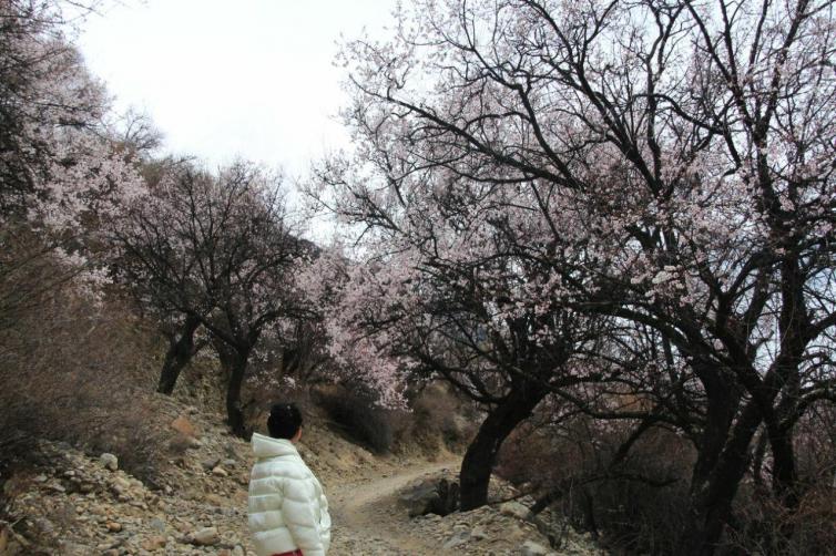 4月國內(nèi)自駕游最美風(fēng)景匯總，國內(nèi)踏春自駕游必去景點(diǎn)推薦