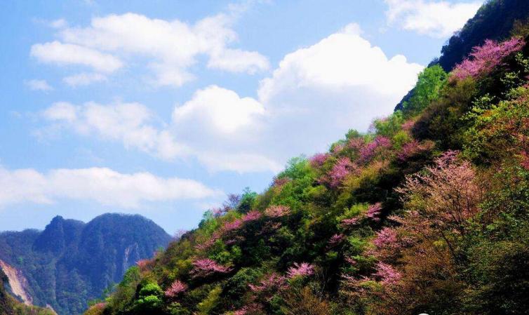 端午節(jié)成都周邊自駕游小眾線路推薦，這幾個(gè)好去處景美人少讓你吃好玩好!