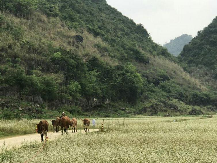 12月廣西自駕游值得一去的景點(diǎn)線路推薦，冬天的廣西也有不一樣的色彩