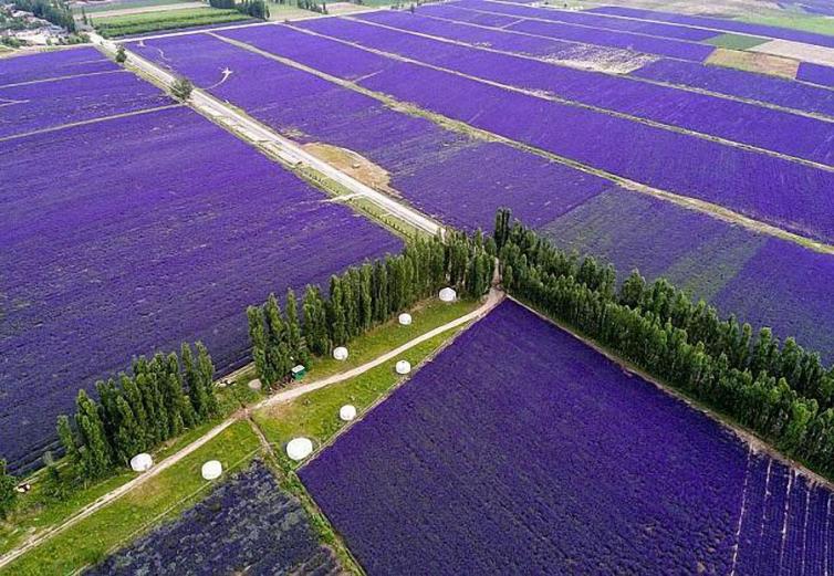 6月份國(guó)內(nèi)6個(gè)最適合自駕游好去處推薦，這些美景值得你一身必去一次