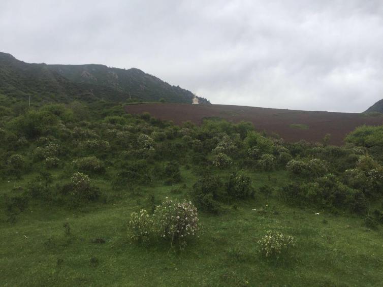 蘭州周邊五大溝，最適合自駕游的觀賞圣地!