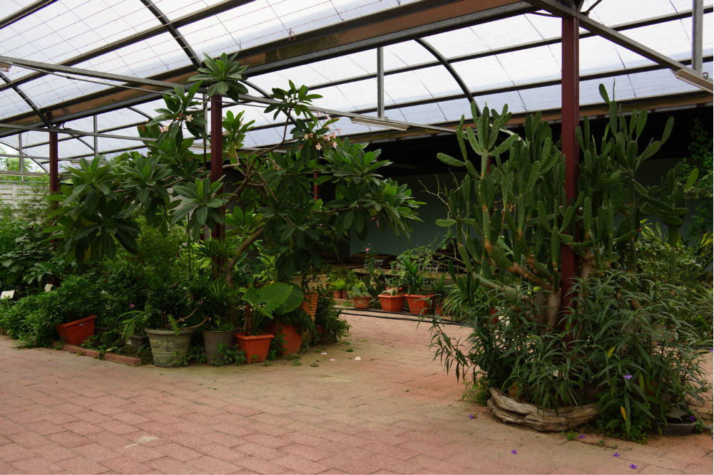 大溪保健植物園