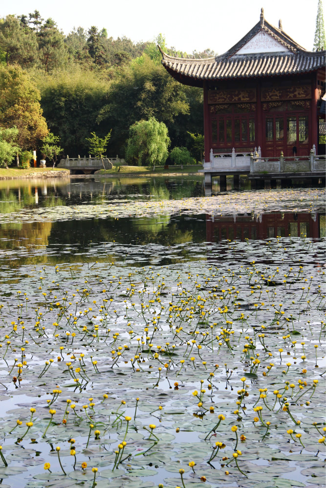 【北京出發(fā)】北京出發(fā)江西8日自駕游：龍虎山-千島湖-景德鎮(zhèn)-老子故里8日自駕