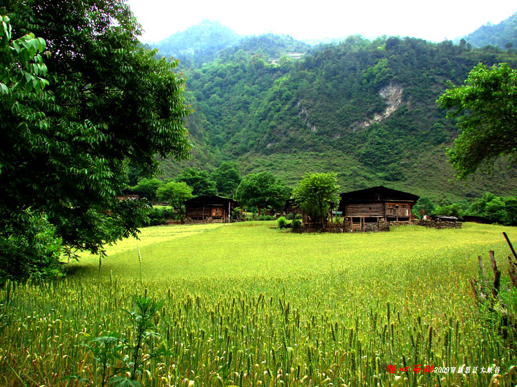 霧里村