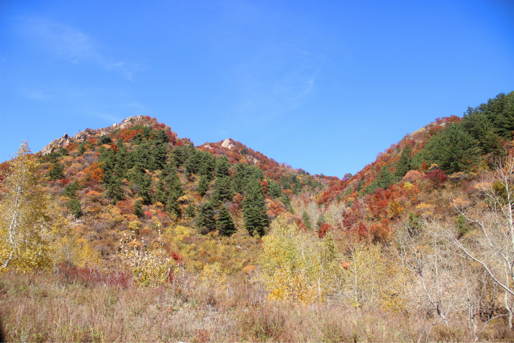 云頂山