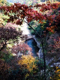 大別山主峰景區(qū)