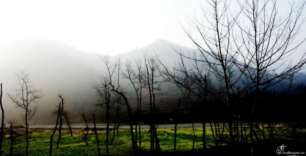 龍門(mén)洞森林公園