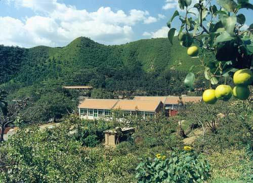 東水廠村