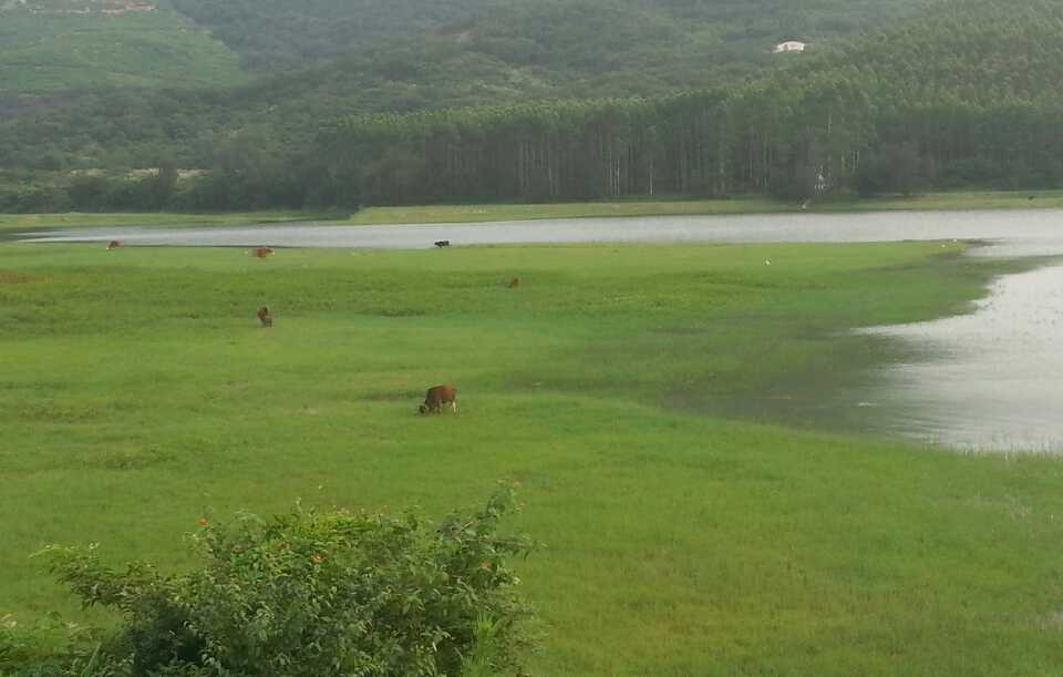 曾溪水庫