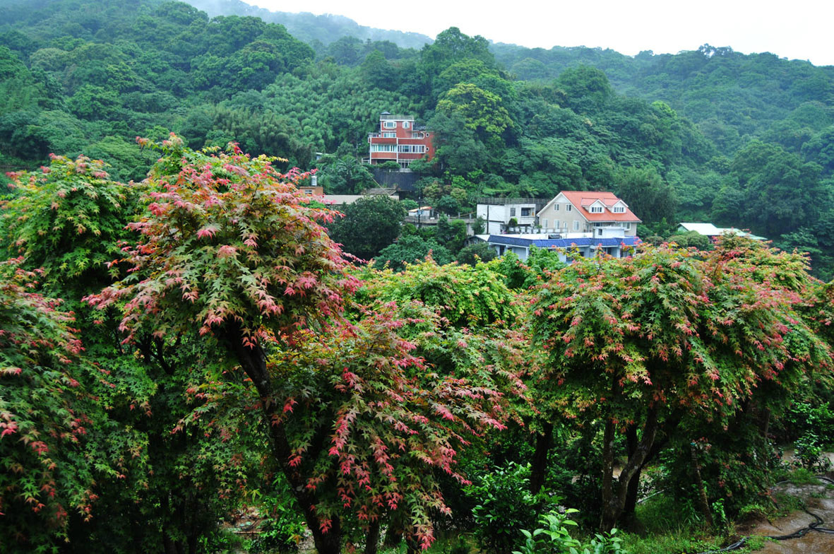 奧萬(wàn)大國(guó)家森林游樂(lè)區(qū)