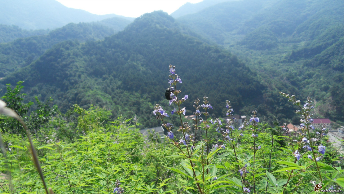 九山頂自然風(fēng)景區(qū)