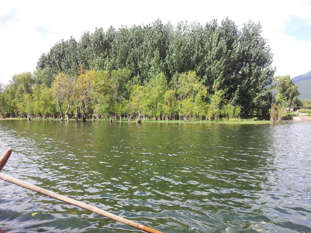 洱海魚鷹馴化基地