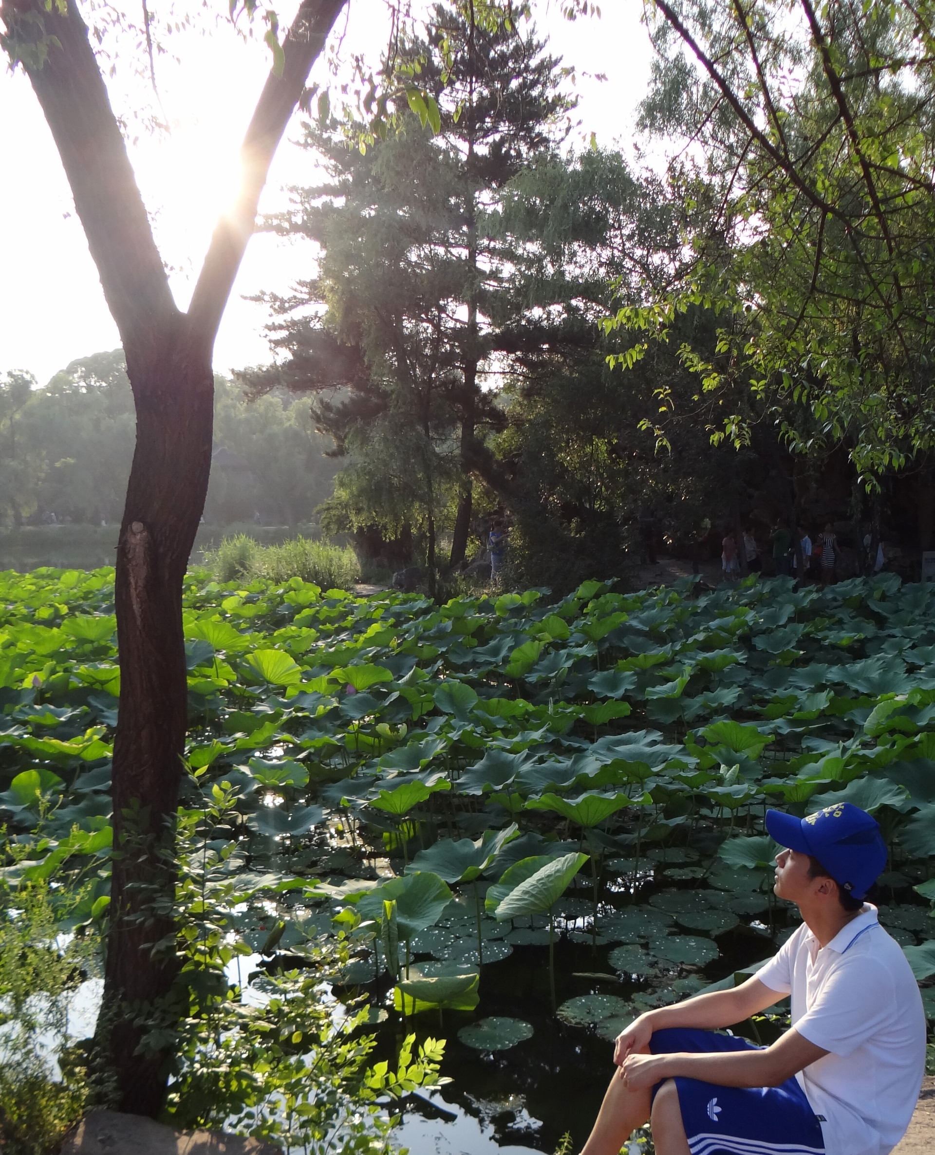 北大山石海森林公園