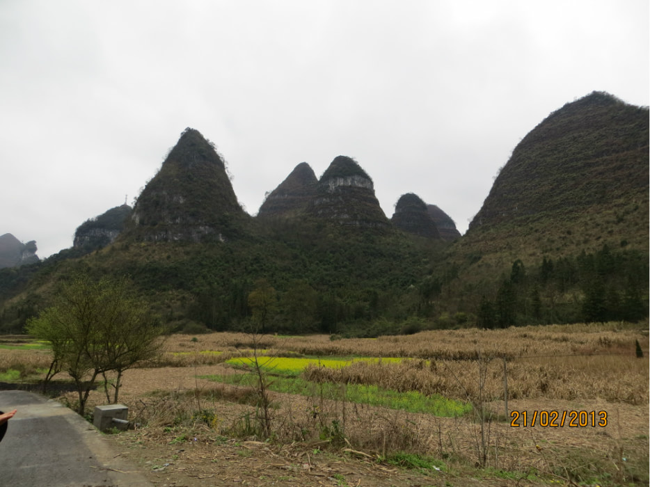 萬(wàn)畝梅園