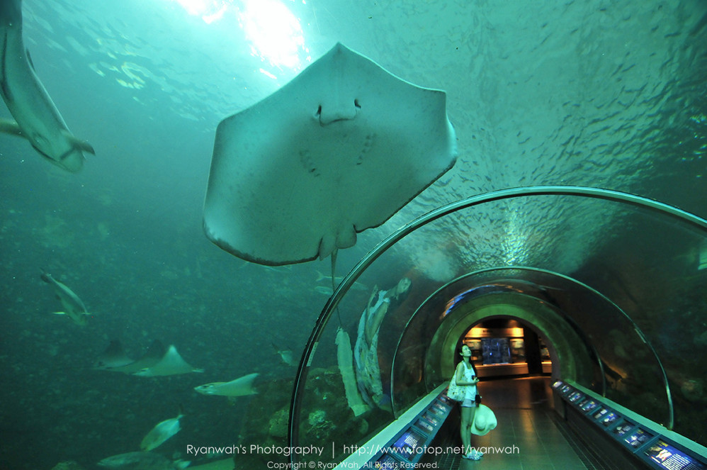 水族館