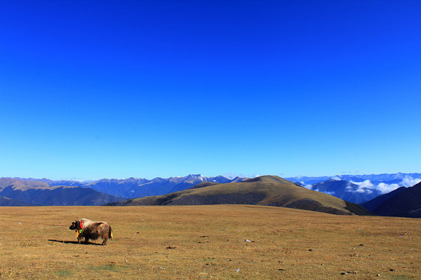 卡子拉山