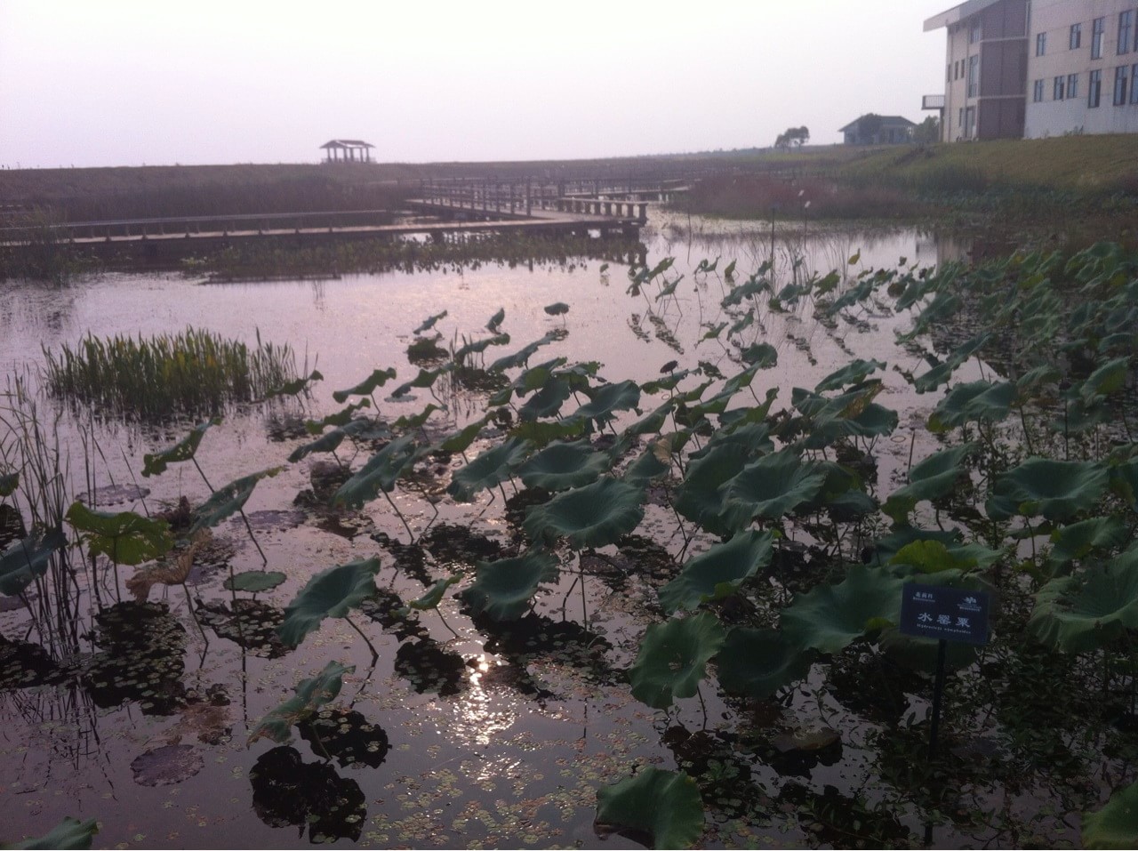 鄱陽(yáng)湖國(guó)家濕地公園