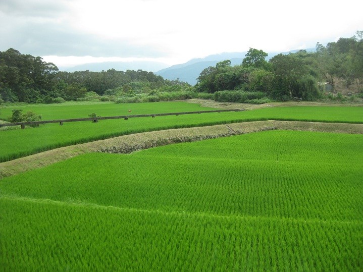 羅山有機(jī)村