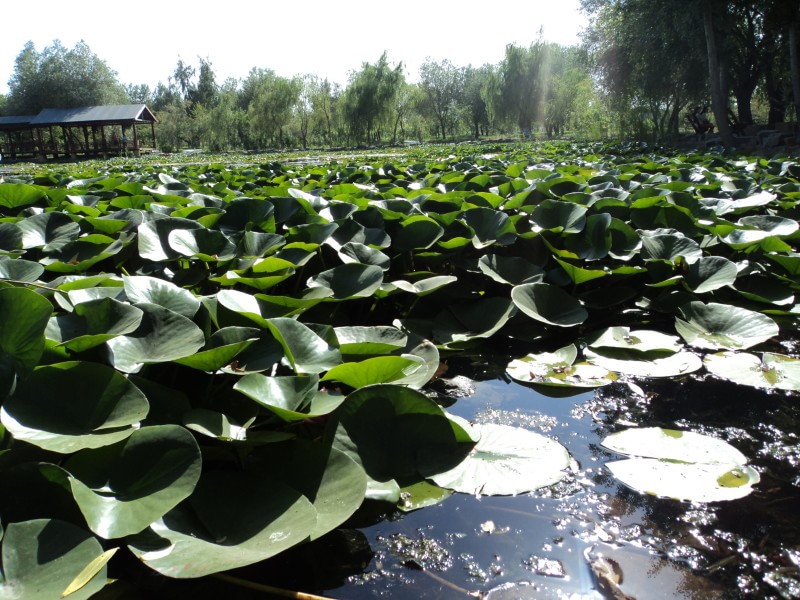 杜氏旅游景區(qū)