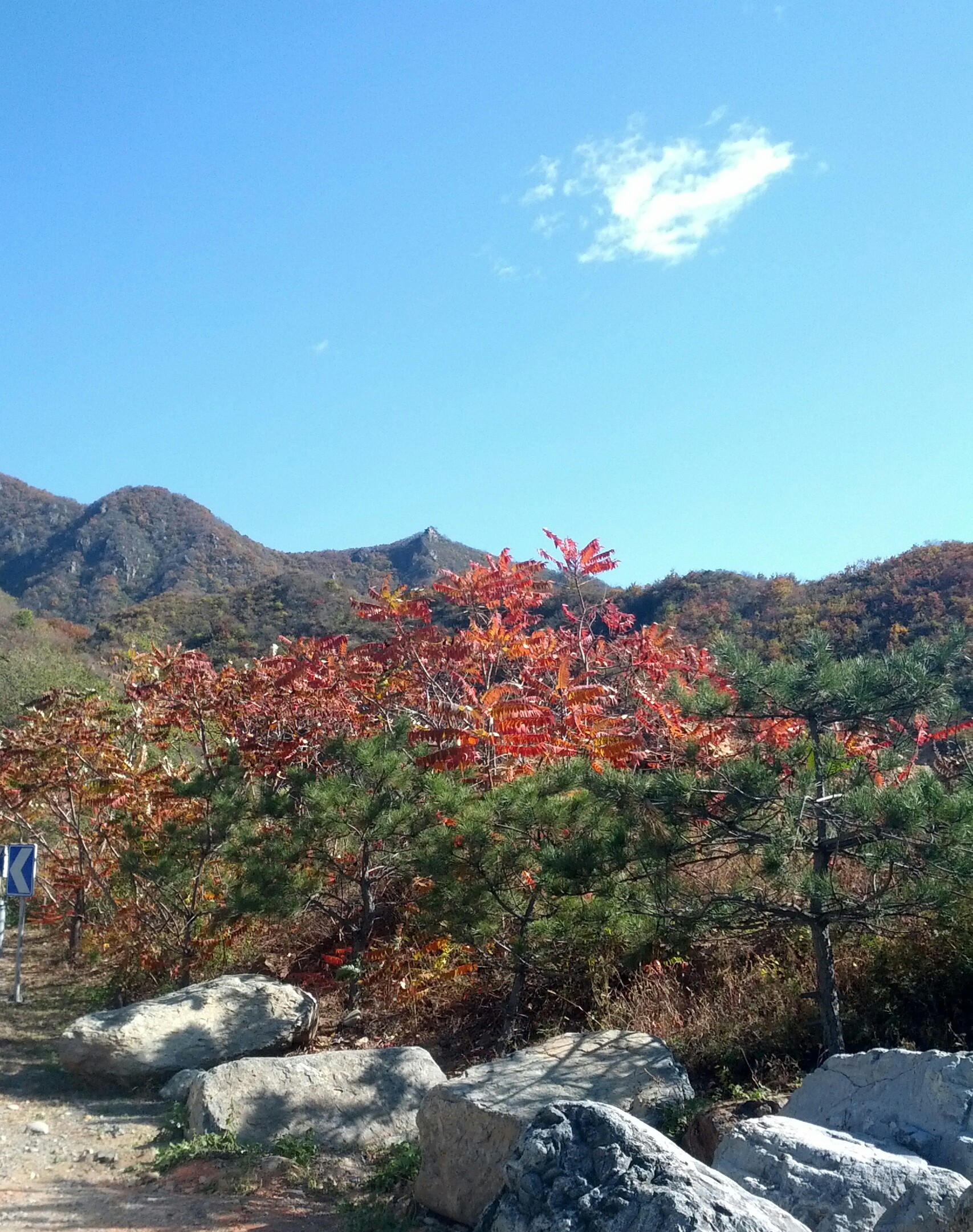 【北京出發(fā)】北京出發(fā)山東3日自駕游：陽(yáng)谷縣獅子樓、菏澤曹州牡丹園、東平水滸城3日自駕