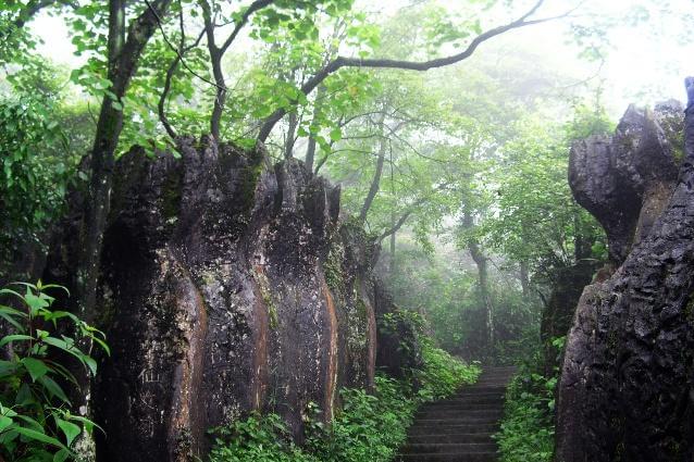 美女峰森林公園