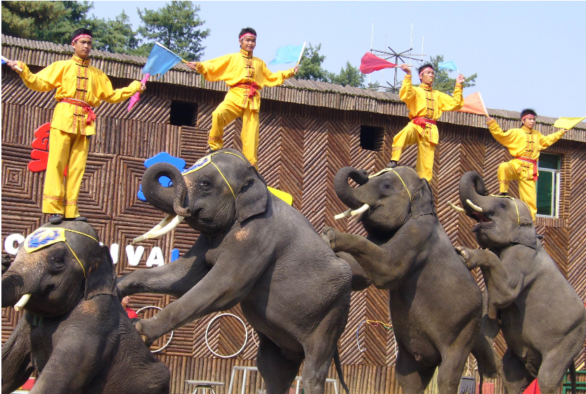 市野生動(dòng)物園