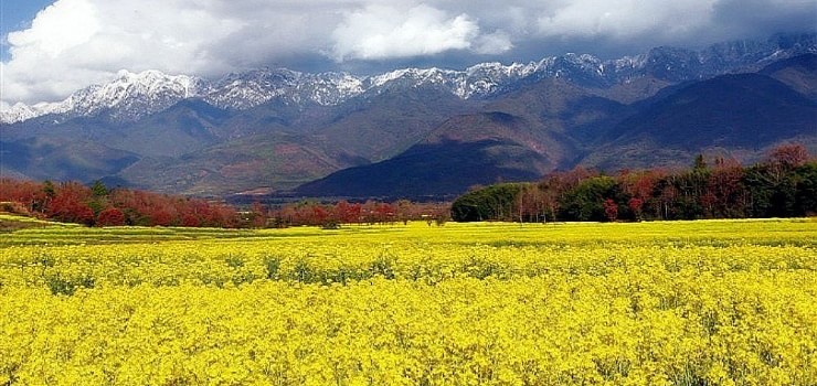 【全國(guó)出發(fā)】大理集合騰沖丙中洛8日落地自駕游：蒼山洱海-麗江古城-丙中洛仙境8日探秘之旅