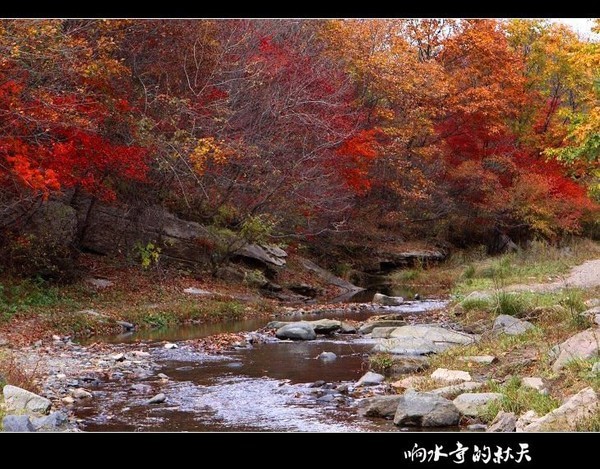 【北京出發(fā)】北京出發(fā)遼寧5日自駕游：長白山天池-鴨綠江灘-十五道溝5日中朝邊境自駕游