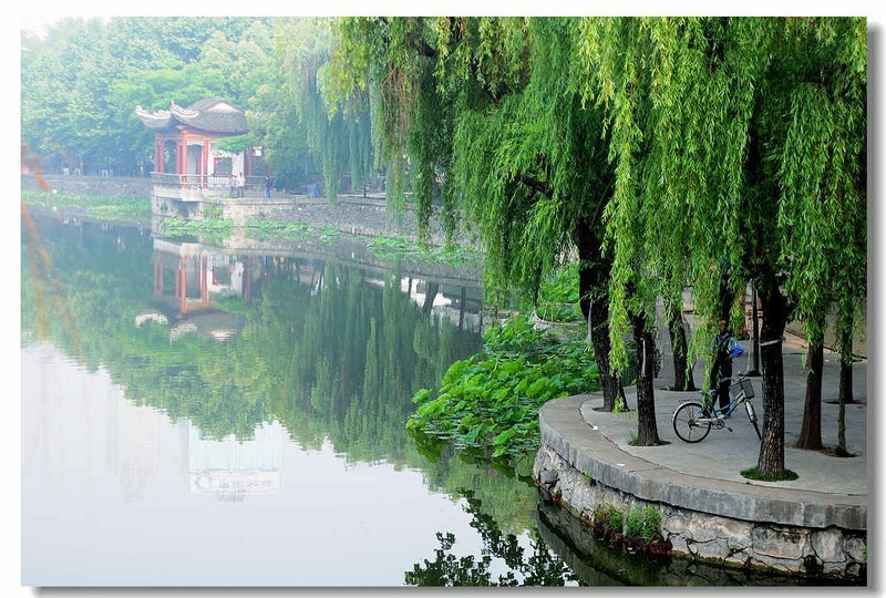 蓮花池公園