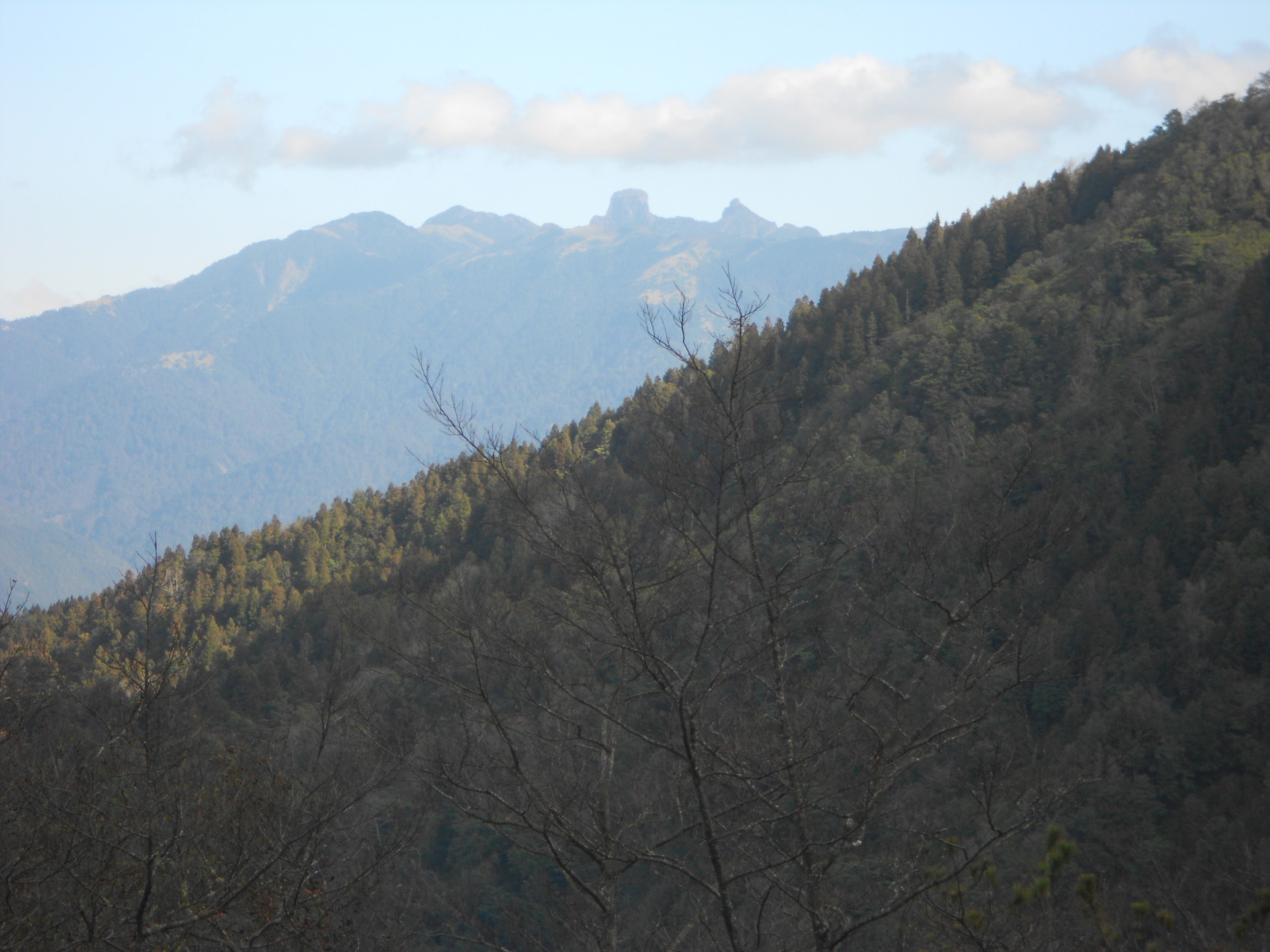 觀霧國(guó)家森林游樂區(qū)