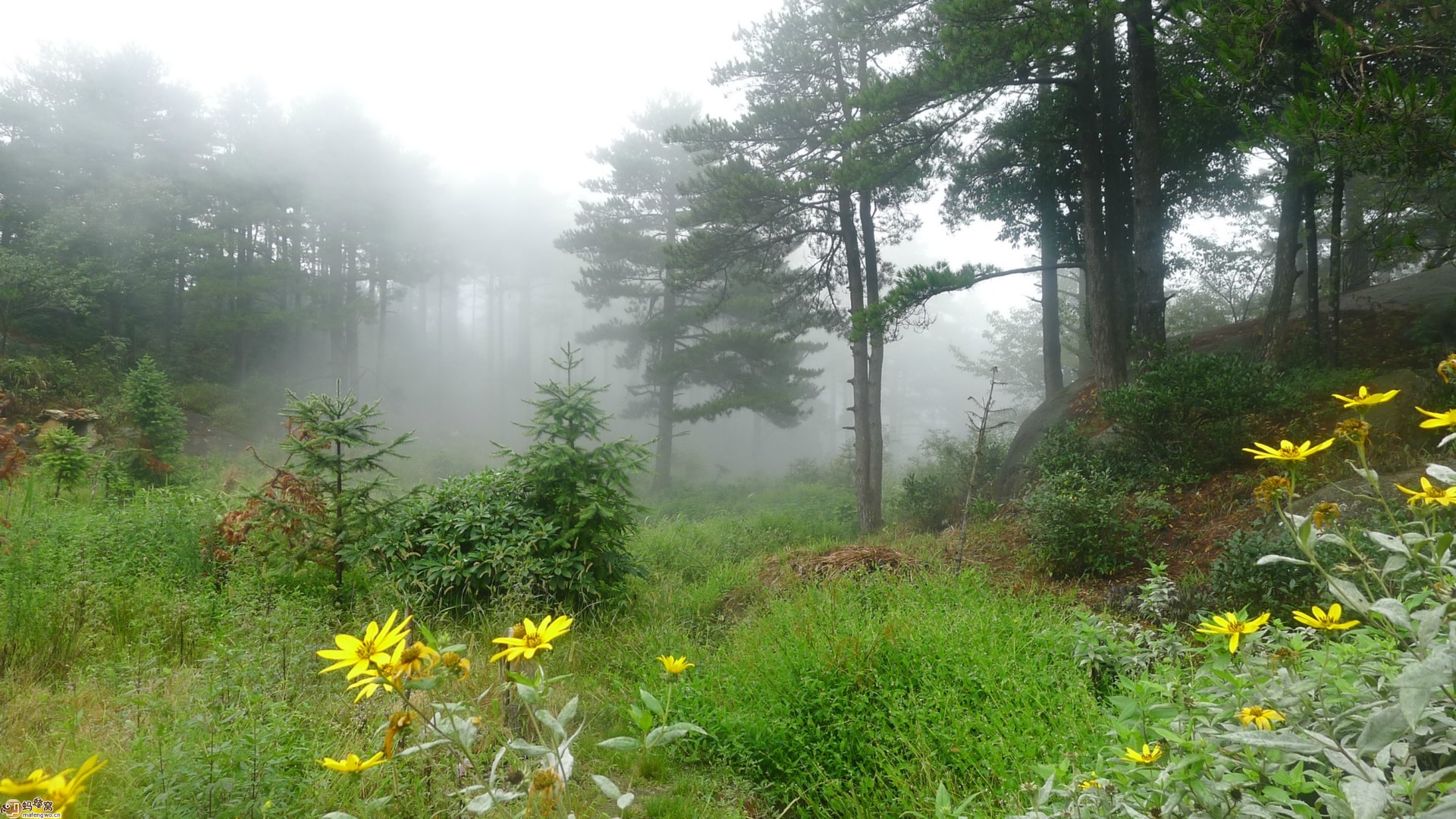 大茅山