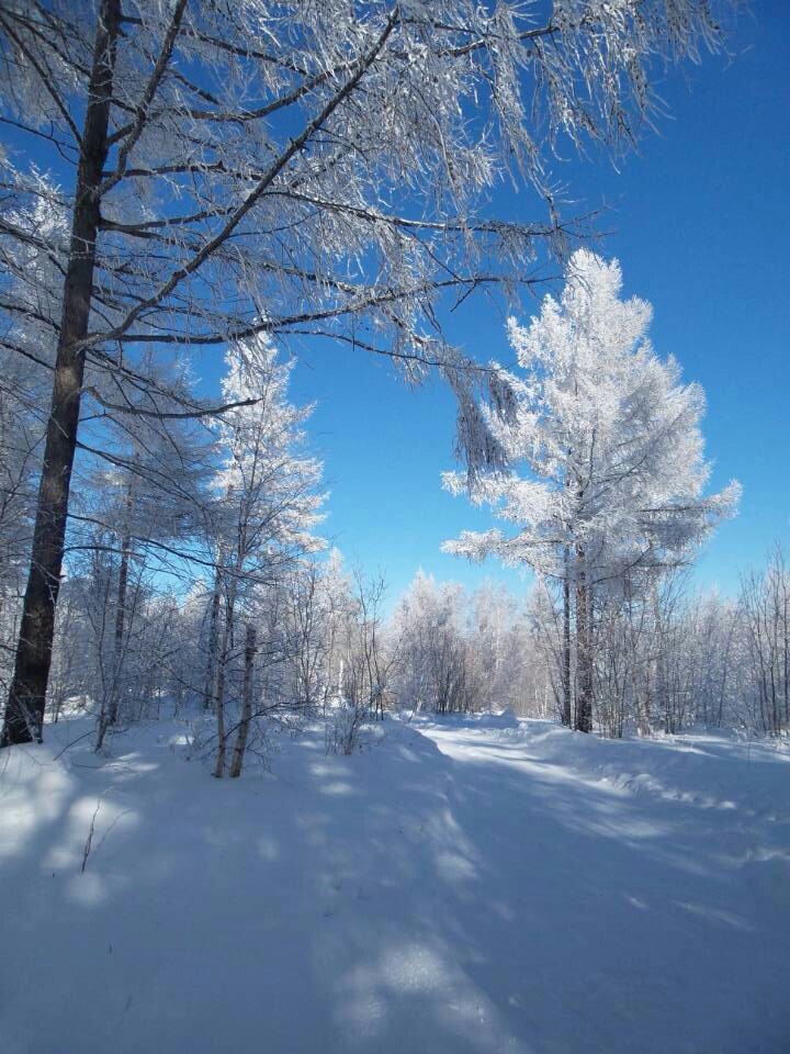 【濟(jì)南出發(fā)】內(nèi)蒙古錫林郭勒-阿爾山-呼倫貝爾-北極村-五大連池中俄邊境線15日深度自駕游