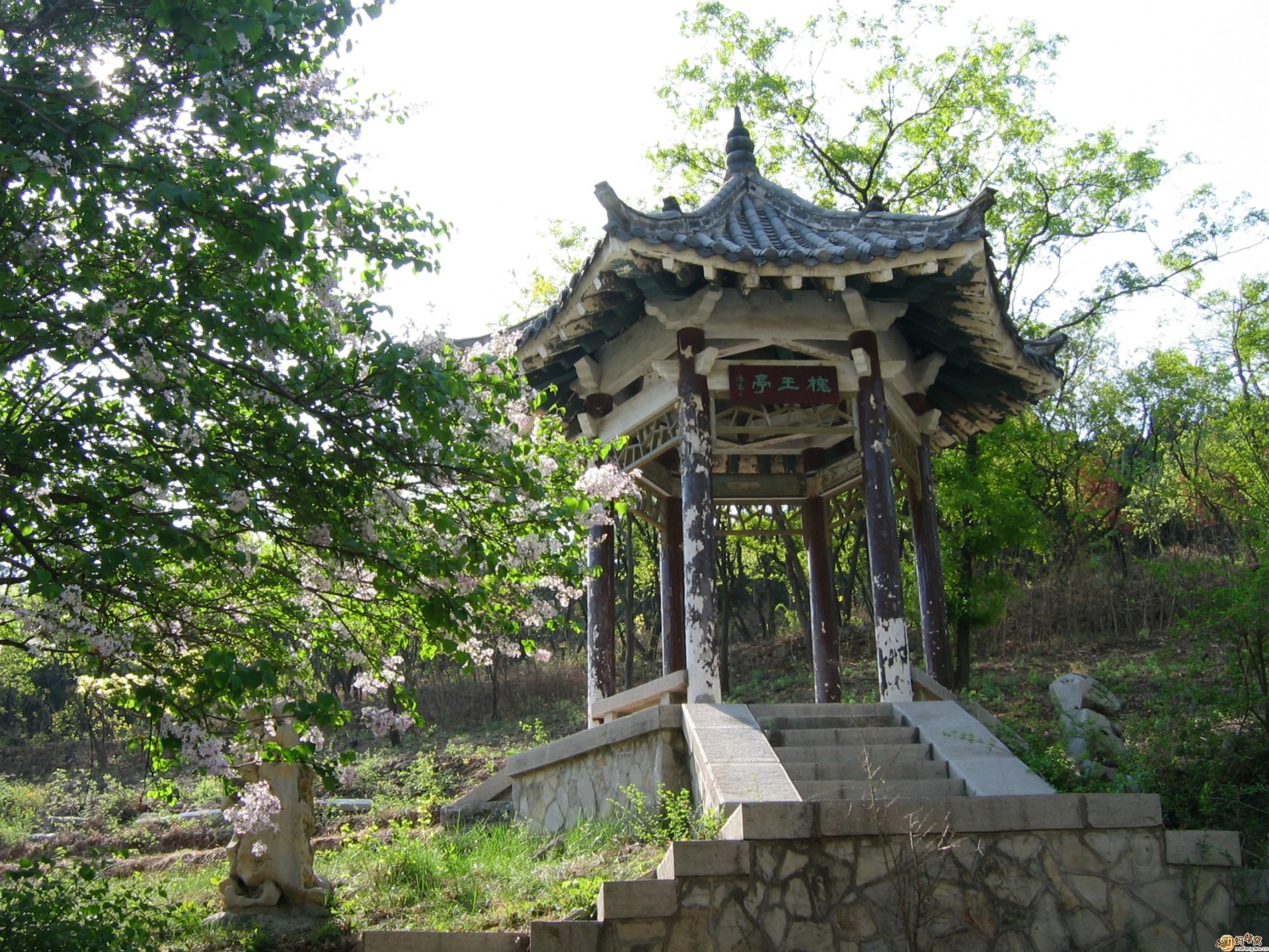 蟠龍山森林公園