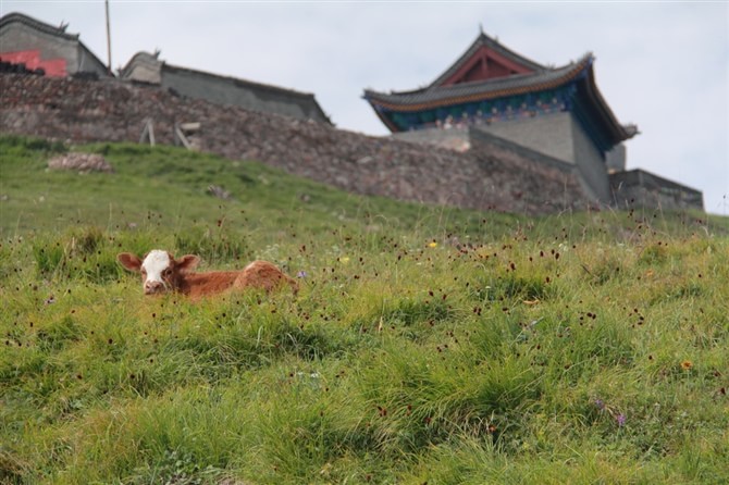 南臺(tái)錦繡峰