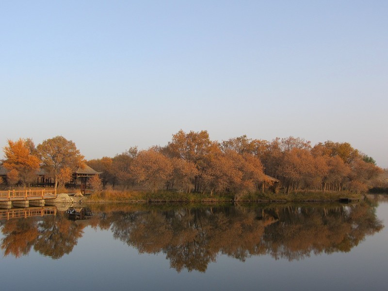 喀什地區(qū)縣金湖楊國(guó)家森林公園