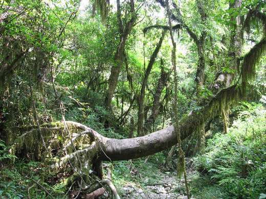 【貴陽出發(fā)】貴陽集合貴州落地自駕：梵凈山-八卦古鎮(zhèn)鎮(zhèn)遠(yuǎn)-中國天眼落地7日自駕游