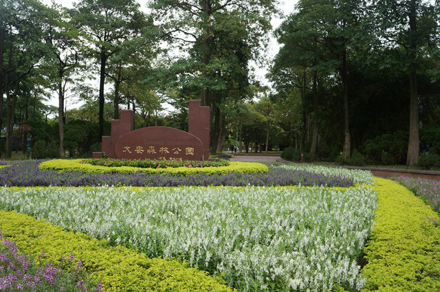 大安森林公園