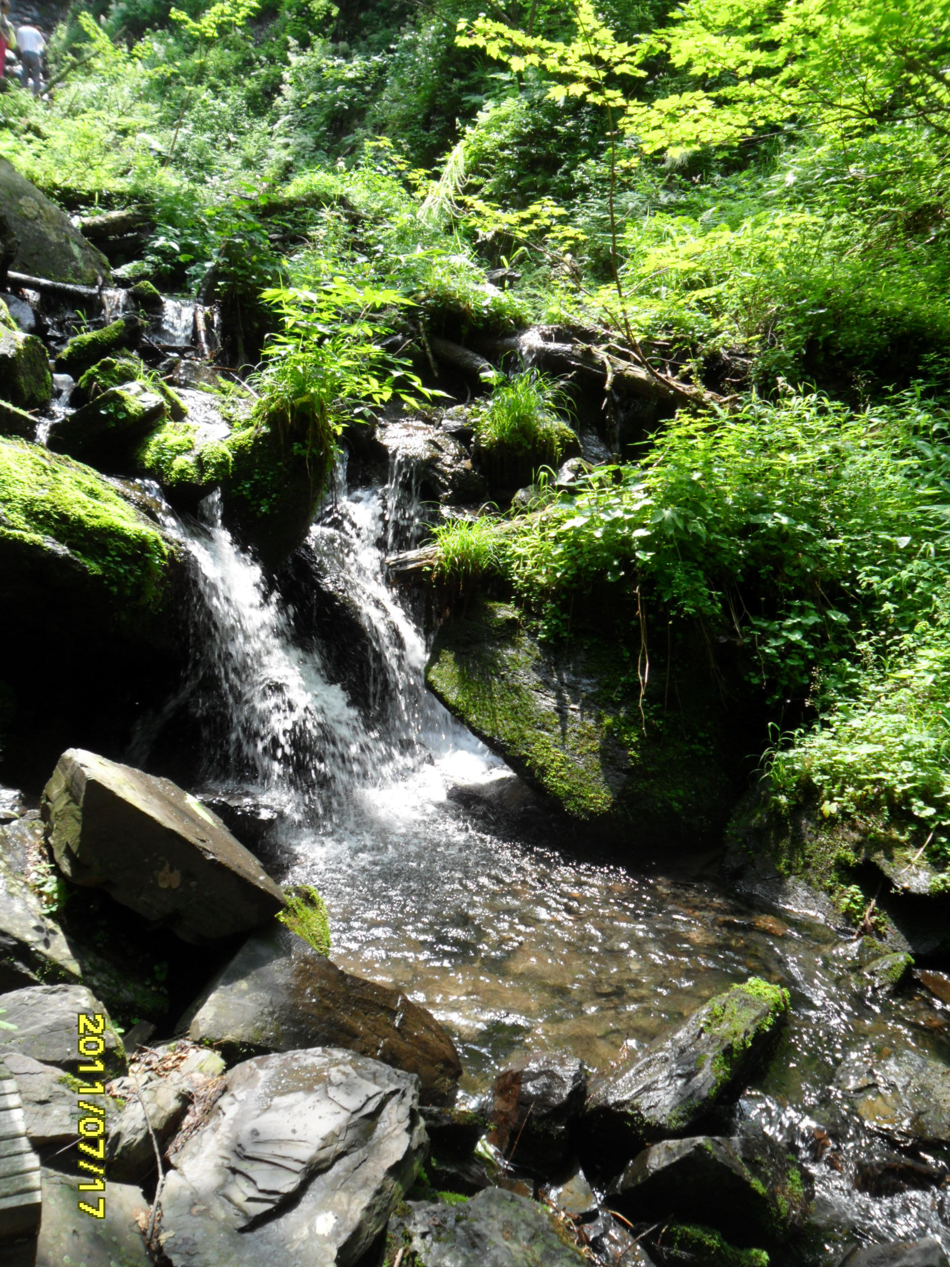 鳳凰山國家森林公園