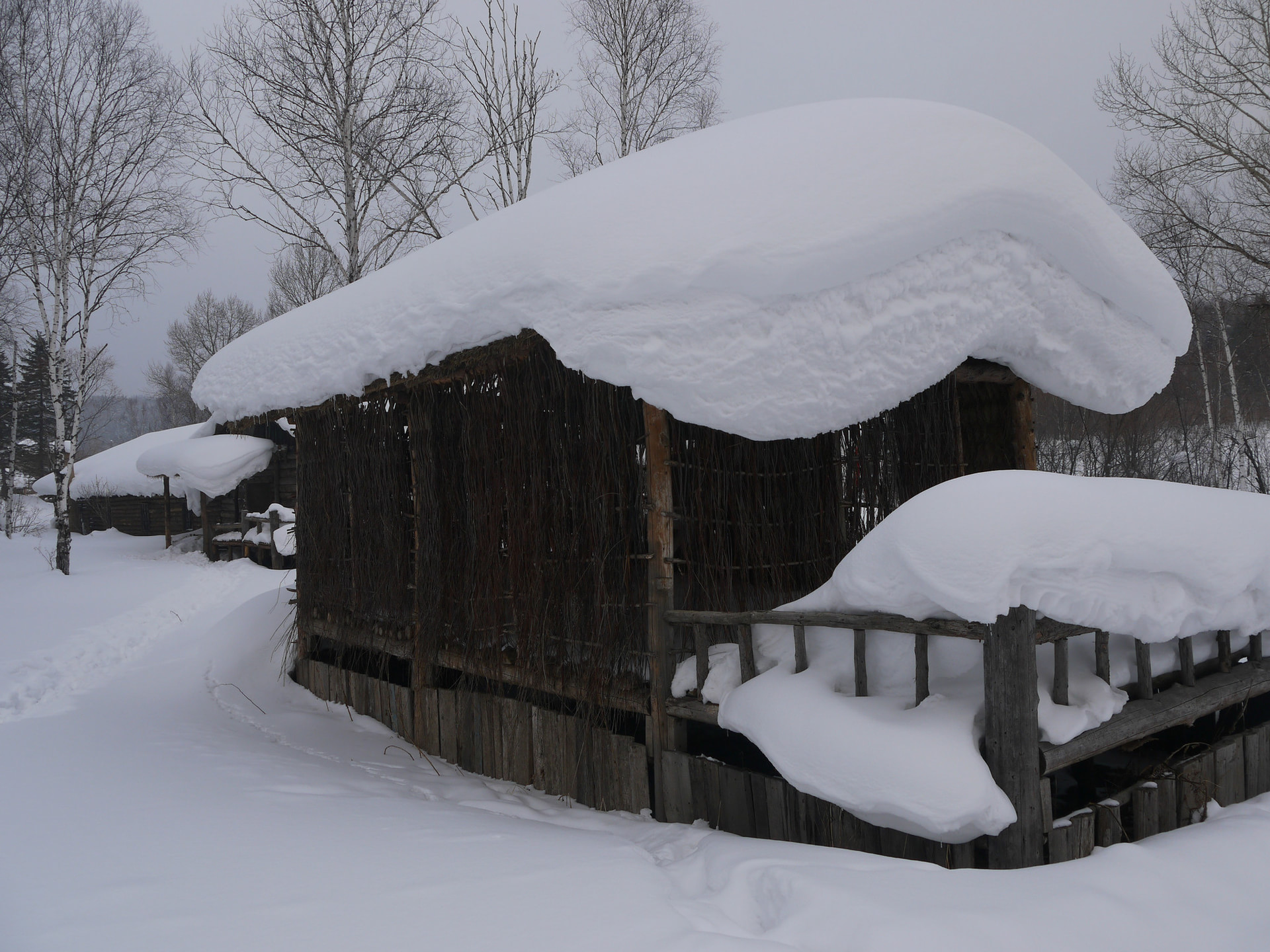 【北京出發(fā)】北京出發(fā)東北8日自駕游：雪谷-雪鄉(xiāng)-查干湖冬捕東北雪國8日自駕