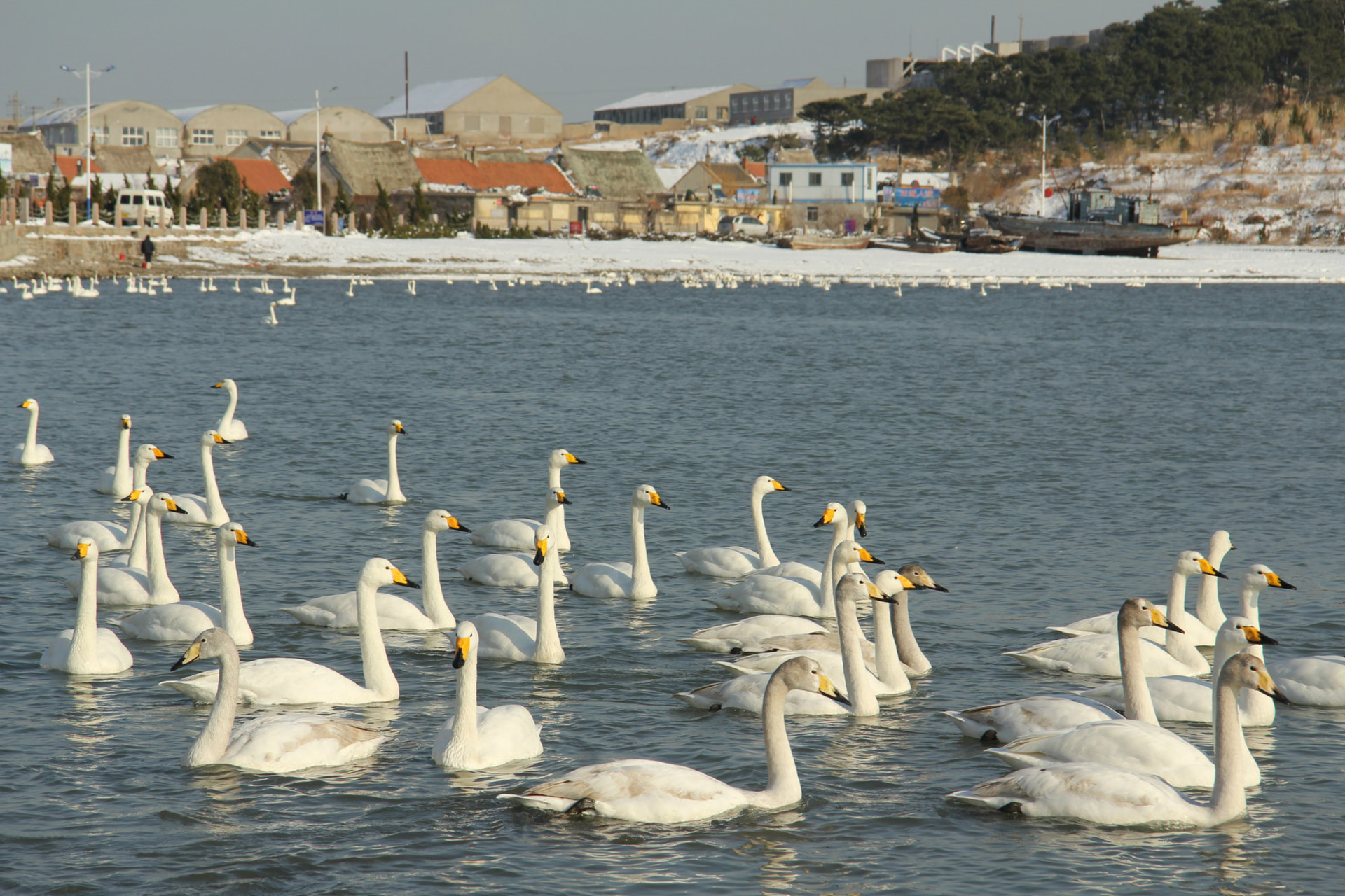 榮成濱海公園