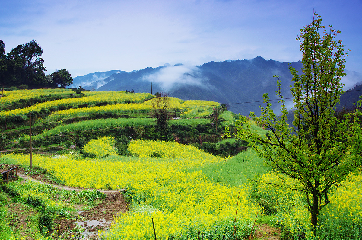 【江西出發(fā)】廣東出發(fā)江西6天自駕游：婺源-三清山-景德鎮(zhèn)-瑞金6天江西休閑自駕游