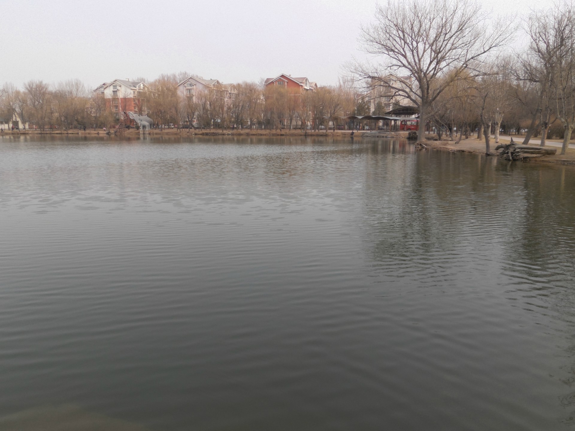 澤龍湖公園