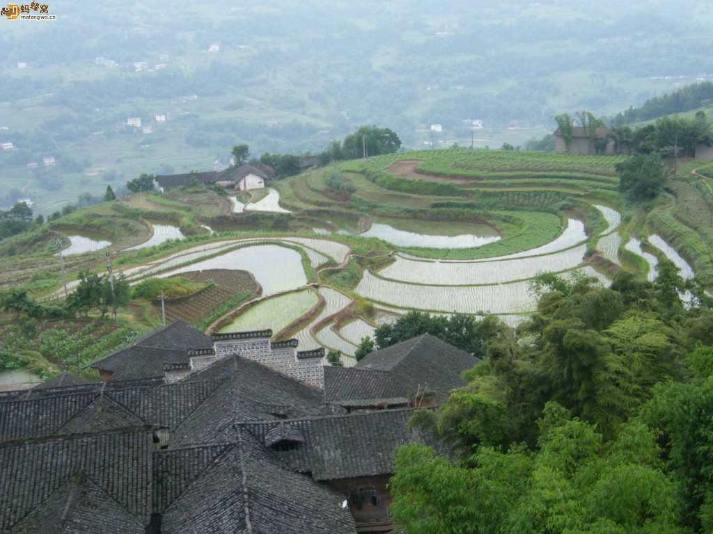 朱家嘴莊園