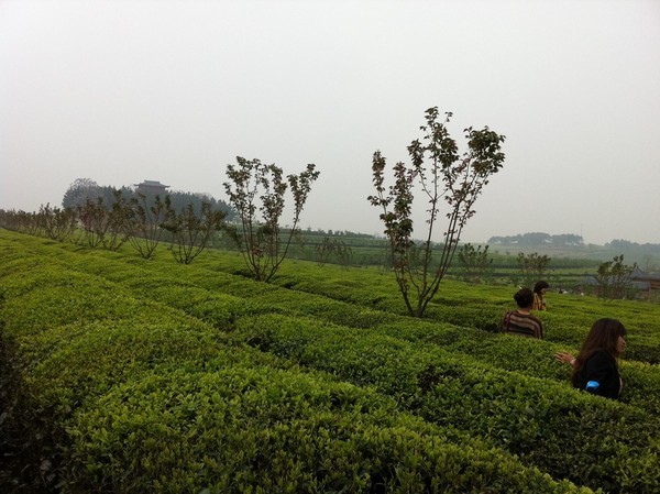 鳳凰溝風(fēng)景區(qū)