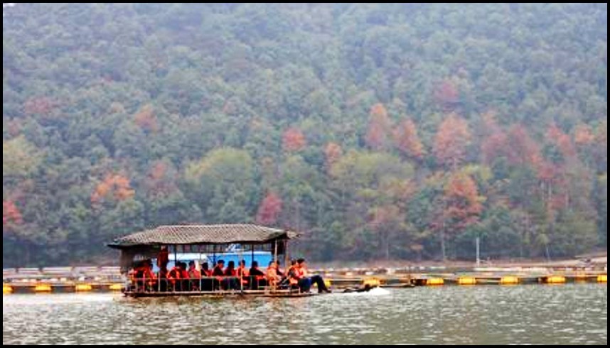 D7千島湖-千島湖環(huán)湖-杭州